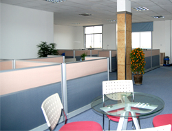 總經(jīng)理助理